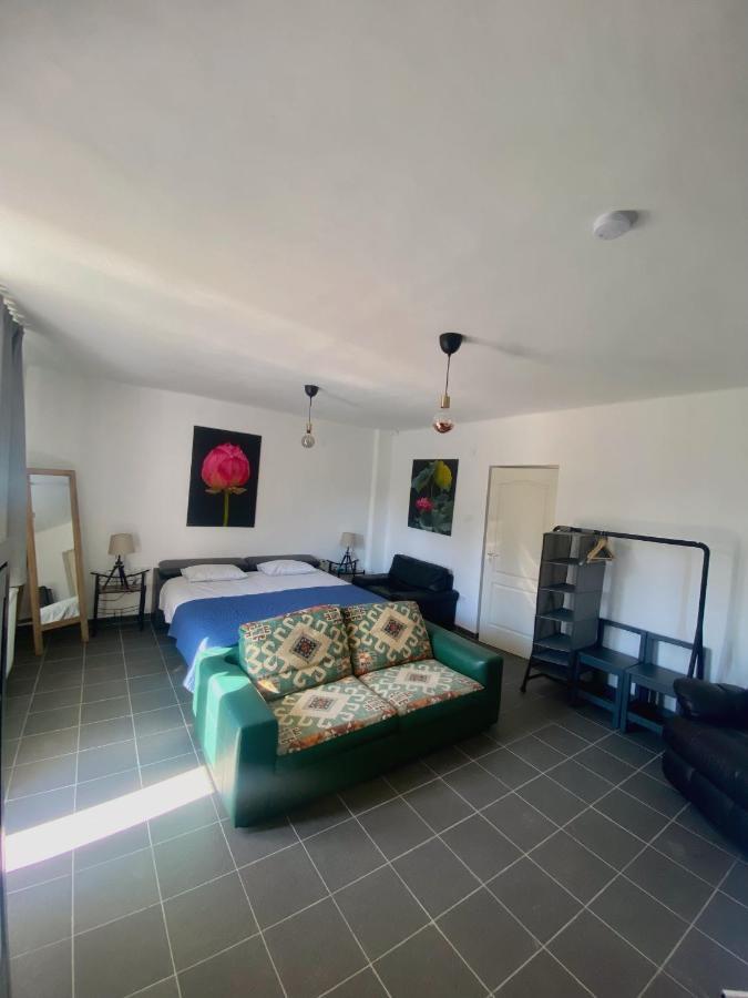 River House - Luxury House On The Border Of The Tisza River Arokto Ngoại thất bức ảnh